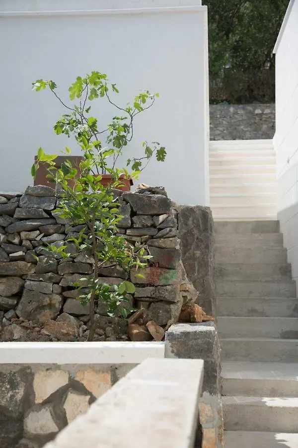 Casa Blanca White House Villa Donji Okrug  Croatia