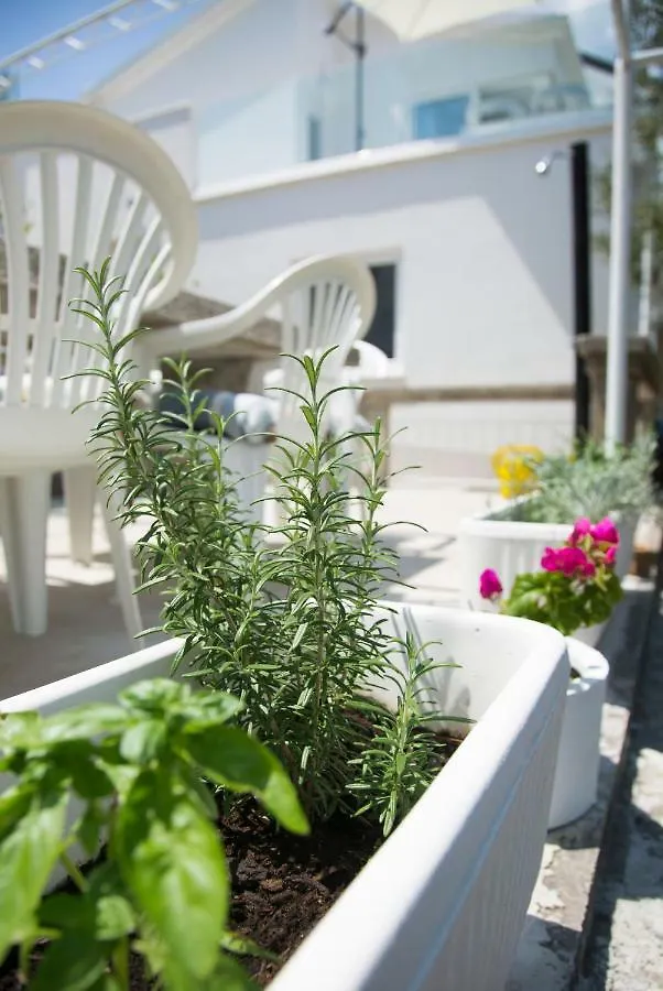 Holiday home Casa Blanca White House Villa Donji Okrug